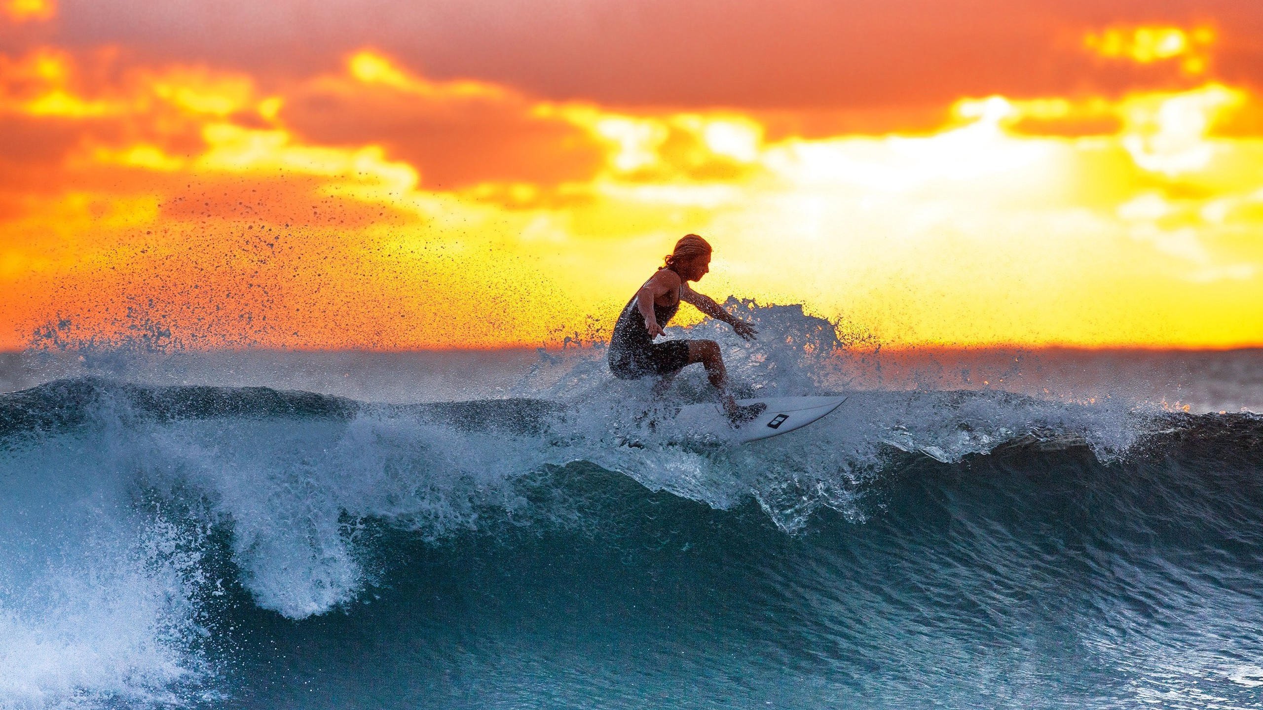 开云体育APP下载-孤胆英雄的完美答卷，哈兰德关键节点力挽狂澜，率队逆境突围